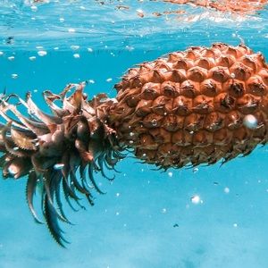 Meet your Posher, Kaeden